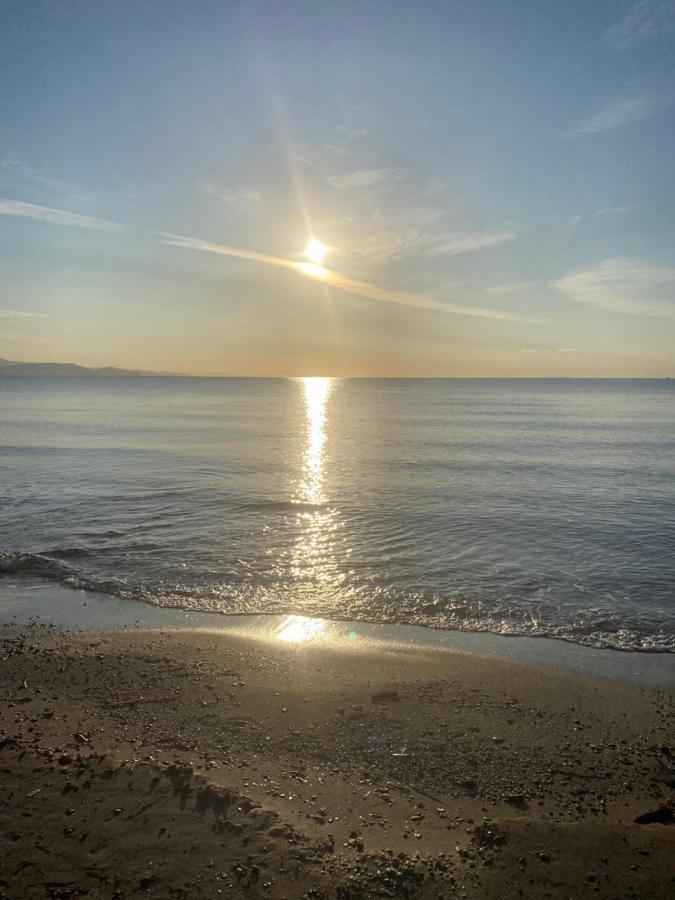 Domelia's Luxury Near Airport & * Artemida (Attica)